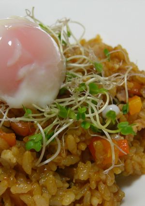 ✿炊飯器でＬＯＶＥ♥炊き込みドライカレー-レシピのメイン写真