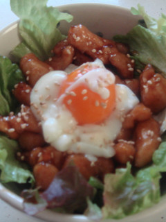 ✿鶏肉の甘辛丼✿-レシピのメイン写真