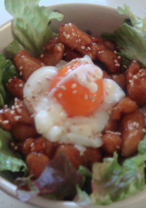 ✿鶏肉の甘辛丼✿-レシピのメイン写真