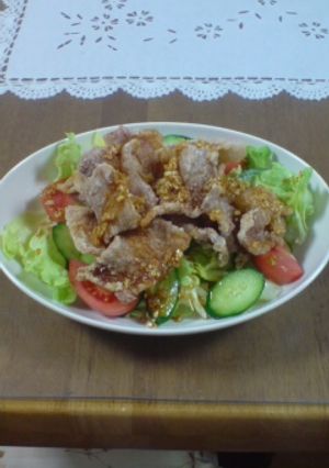豚肉のから揚げ☆台湾風-レシピのメイン写真