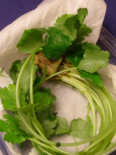 香り野菜の保存法-レシピのメイン写真
