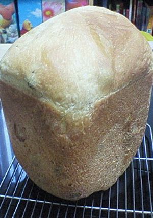 白神酵母でレーズン入りさとうきび砂糖パン-レシピのメイン写真