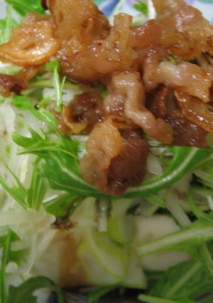 水菜と豚バラのカリカリヤッコ-レシピのメイン写真