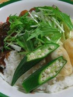 ふんわりチキンと豆腐の和風カレー丼-レシピのメイン写真