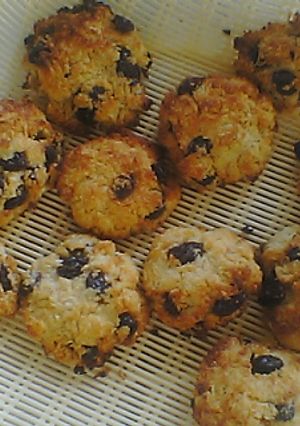 パン粉クッキー-レシピのメイン写真