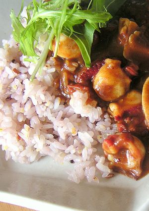 たことトマトの即席カレー-レシピのメイン写真