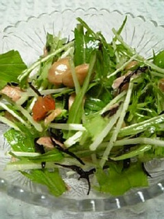 水菜と大豆とひじきのサラダ-レシピのメイン写真