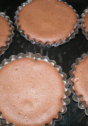 ちょこっとビターな大人チョコレートケーキ-レシピのメイン写真