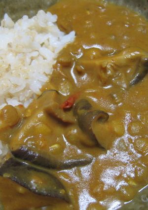 レンズ豆と干し椎茸とトマトのカレー-レシピのメイン写真