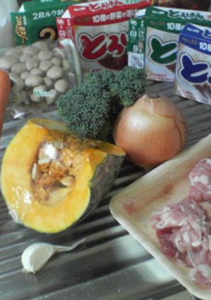 旦那と娘のためのかぼちゃカレー-レシピのメイン写真