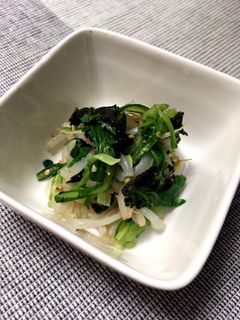 菊菜ともやしのナムル-レシピのメイン写真