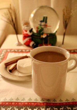 ❄︎オーツミルクの ホットココア❄︎-レシピのメイン写真