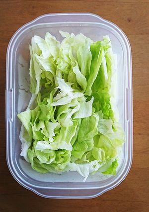 レタスを直ぐに食べられて長く保存♪-レシピのメイン写真