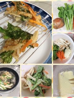 菜の花のかき揚げ-レシピのメイン写真