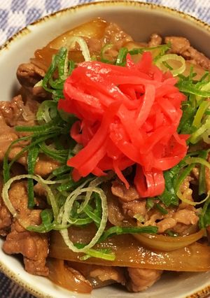 ＊私の究極の豚丼！！＊-レシピのメイン写真