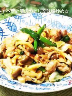 簡単~キャベツと豚肉のピリ辛味噌炒め☆-レシピのメイン写真