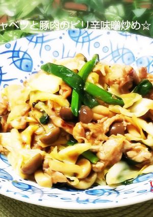 簡単～キャベツと豚肉のピリ辛味噌炒め☆-レシピのメイン写真