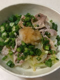 白菜の豚しゃぶ丼-レシピのメイン写真