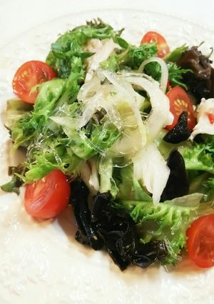 蒸し鶏 ベビーリーフヤムウンセン風-レシピのメイン写真