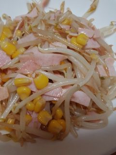 もやしとハムの塩コショウ炒め-レシピのメイン写真