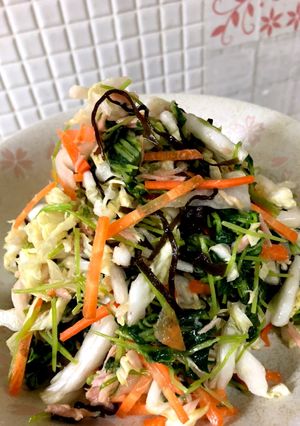 簡単！豆苗と白菜の塩昆布サラダ-レシピのメイン写真