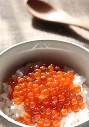 生イクラの醤油漬け・はらこめし-レシピのメイン写真