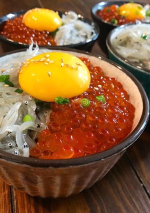 かきこむ美味しさ♡生しらす(いくら)丼-レシピのメイン写真