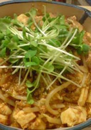 野菜たっぷりヘルシー麻婆豆腐-レシピのメイン写真