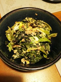 生の高菜のツナ炒め-レシピのメイン写真