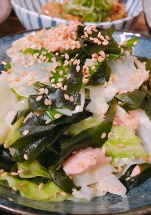 キャベツとツナわかめのやみつきサラダ♡-レシピのメイン写真
