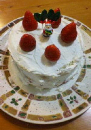 三段重ねクリスマスケーキ-レシピのメイン写真