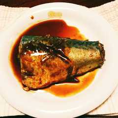 A picture of ＊＊さばの味噌煮＊＊.
