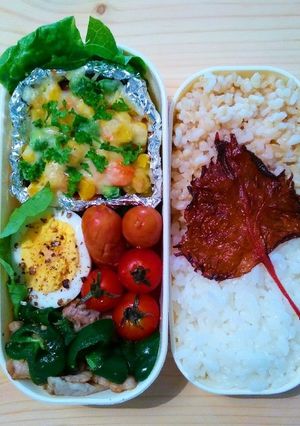 旦那弁当 記録1204-レシピのメイン写真