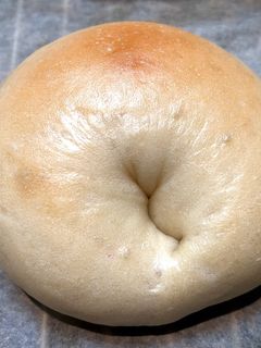 りんご酵母のもっちりベーグル-レシピのメイン写真