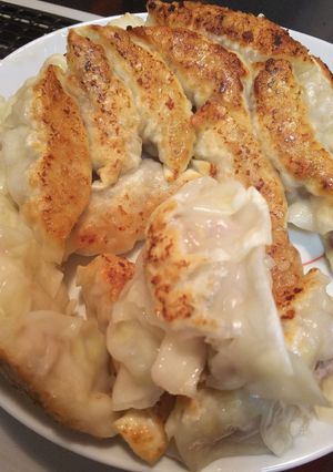 白菜餃子-レシピのメイン写真