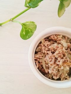 簡単ヘルシー塩そぼろ-レシピのメイン写真
