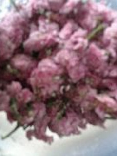 桜の花の塩漬け-レシピのメイン写真