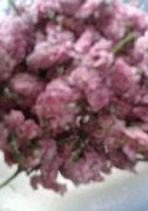 桜の花の塩漬け-レシピのメイン写真