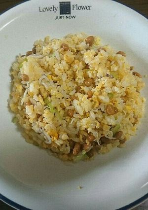 しらすとたまごの納豆チャーハン-レシピのメイン写真