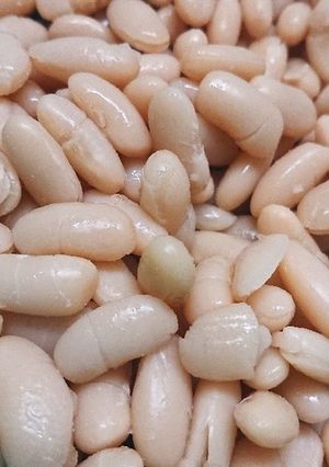 乾燥豆(白インゲン豆)の水煮-レシピのメイン写真