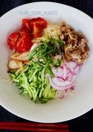山形のひっぱりうどん風 そうめん☆１人分-レシピのメイン写真
