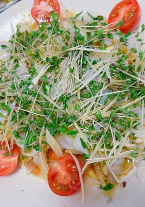タコのカルパッチョ-レシピのメイン写真