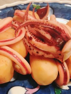 いかとさといもの煮物-レシピのメイン写真