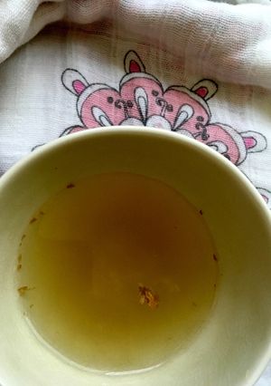 生姜はちみつ 風邪初期 薬飲めない時-レシピのメイン写真