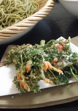 人参葉のかき揚げ-レシピのメイン写真