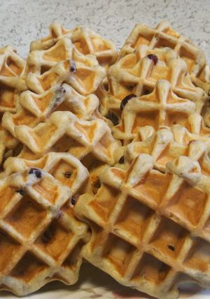 クランベリーとヒマワリの種のワッフル-レシピのメイン写真