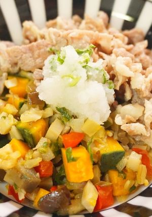 わんこ飯♪豚しゃぶ~大根おろしのせ~-レシピのメイン写真