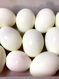 綺麗なゆで卵-レシピのメイン写真