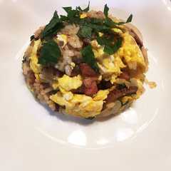 タコの簡単炒飯！-レシピのメイン写真