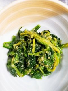 ほうれん草のゴマ和え-レシピのメイン写真